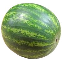 Sandveld Seeds Congo Melon - Watermelon